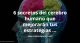 6 secretos del cerebro humano que mejorarán tus estrategias de marketing