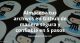 Almacena tus archivos en Github de manera segura y confiable en sólo 5 pasos